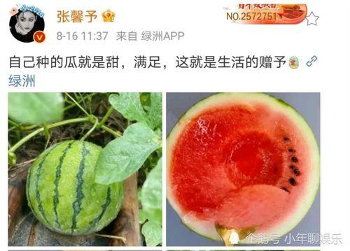 吃瓜娱乐圈瓜,揭秘明星们的甜蜜与苦涩瓜